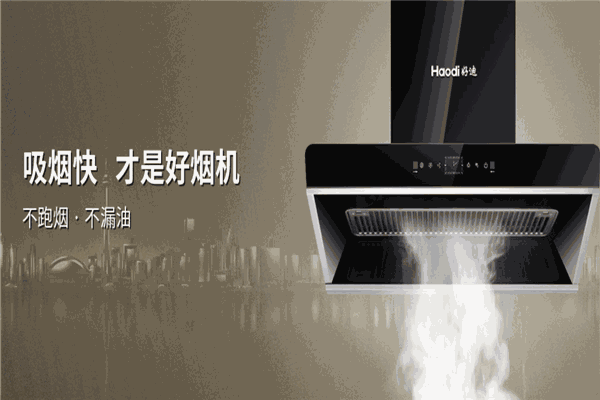 好迪廚衛(wèi)電器加盟