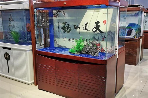 閩江魚缸加盟