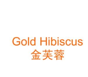 金芙蓉布藝加盟