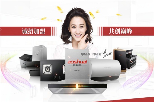 奧帥油煙機(jī)加盟