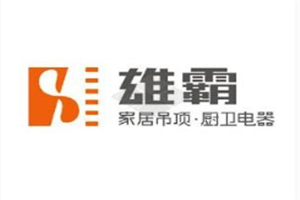 雄霸電器加盟
