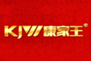 康家王廚衛(wèi)電器加盟