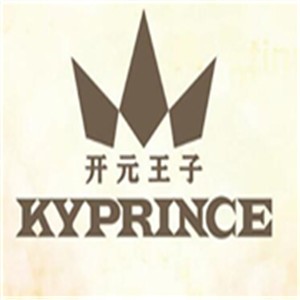 開元王子燈飾加盟
