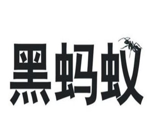 ?黑螞蟻家居布藝加盟