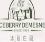 冰莓莊園藍莓飲料加盟