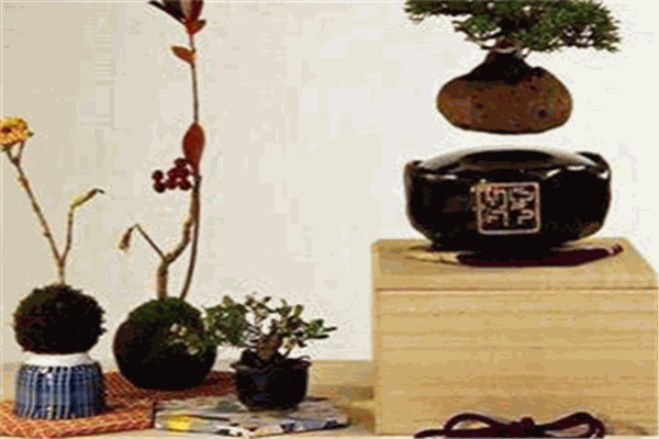 香榭麗舍家居家飾品加盟