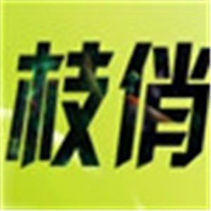 枝俏家紡加盟