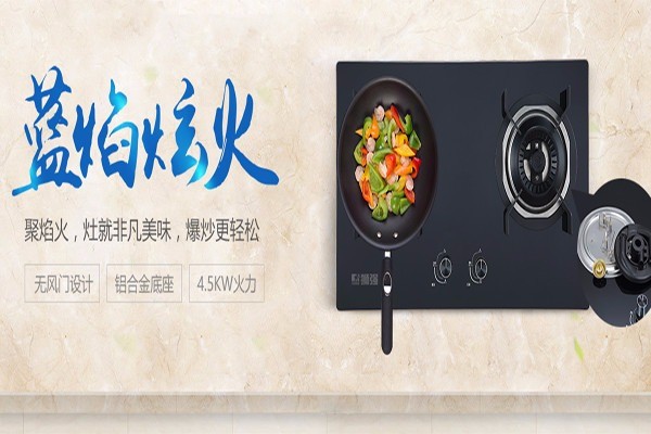 獅強廚衛(wèi)電器加盟