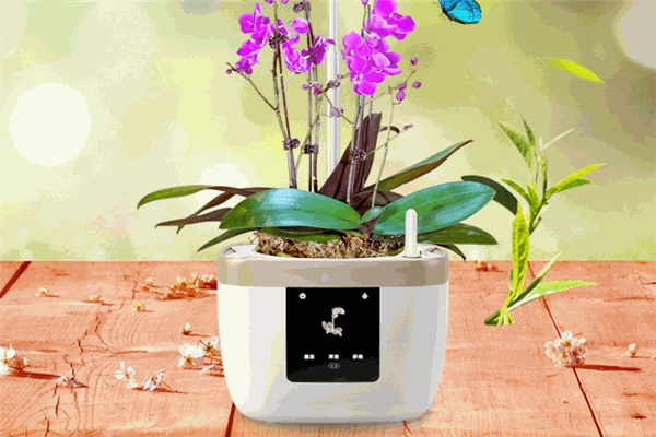 宜植愛(ài)舒適系統(tǒng)家居加盟