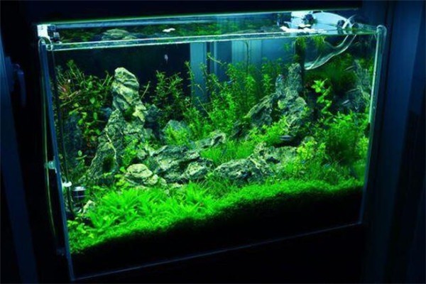 巨金水族用品加盟