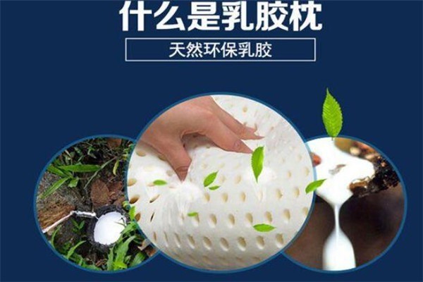 TAIDINA泰蒂娜加盟