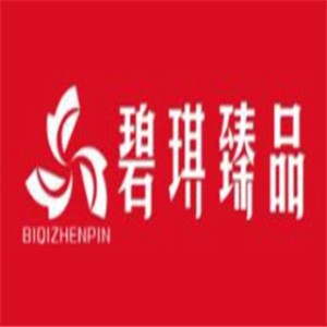 碧琪臻品養(yǎng)生館加盟