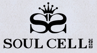 SOUL CELL蘇昔女裝加盟