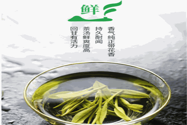 醉品茶城加盟
