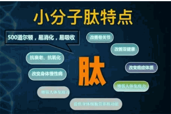 小分子肽加盟