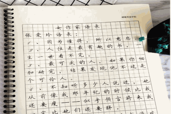 書城練字加盟