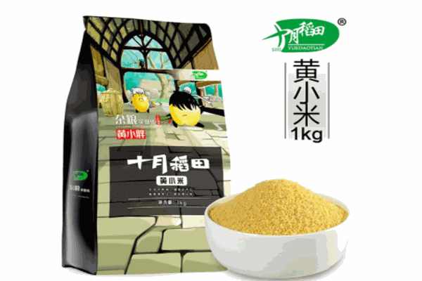 十月稻田加盟