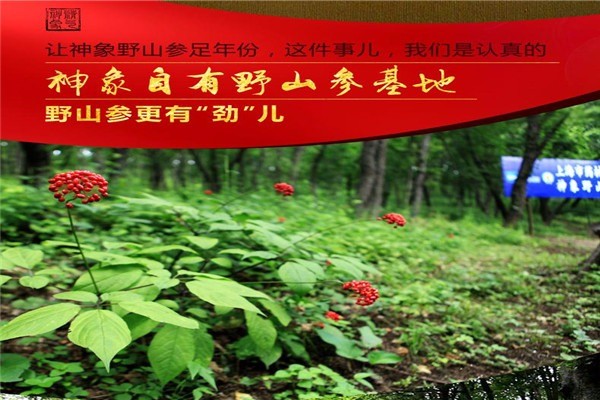神象保健品加盟