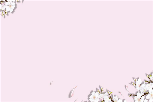 芒果派加盟