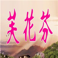 芙花芬養(yǎng)生加盟