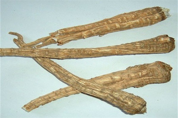 綠生藥業(yè)加盟