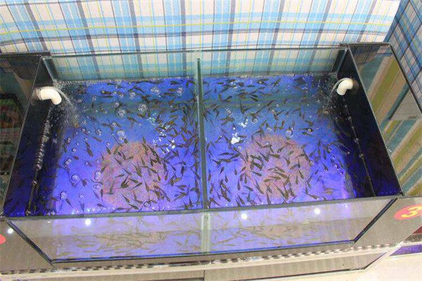 小魚足療店加盟