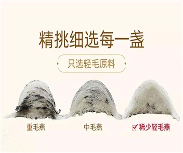 虞美人健康食品加盟