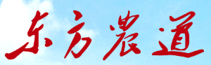東方農(nóng)道建筑加盟