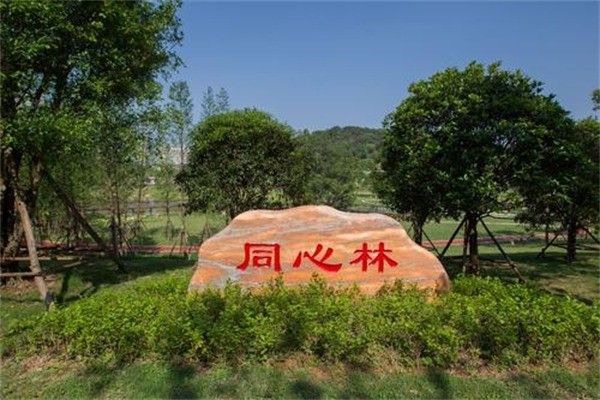 同心機(jī)械加盟