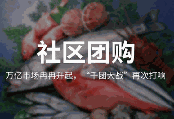京東蛐蛐購加盟