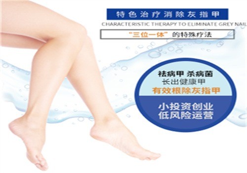 蕙樂百靈加盟