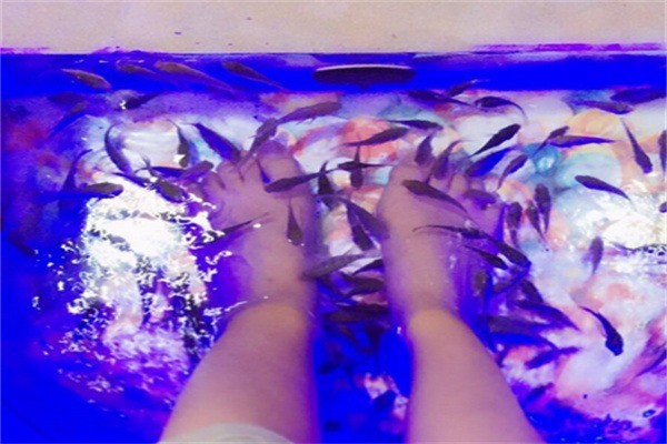 小魔鬼魚(yú)足療加盟