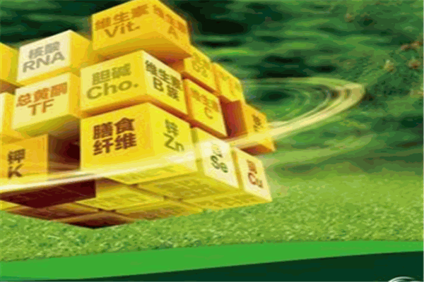 國正健康生活館加盟