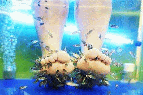 魚之吻魚療養(yǎng)生館加盟