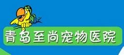 至尚寵物醫(yī)院加盟