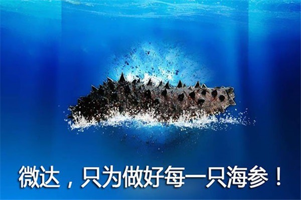 微達海參加盟
