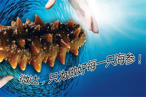 微達海參加盟