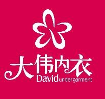 大偉內(nèi)衣加盟