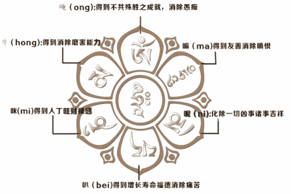 ?；圯喎鸾逃闷? /></p><p><strong>品牌文化：</strong></p><p>傳承、創(chuàng)新、感動、關(guān)懷</p><p>?；圯喨藨{借對“時光與佛法”的深入領(lǐng)略和理解，及對大千世界、蕓蕓眾生的無比崇拜，福慧輪佛表自開始，就賦予了一種神奇的力量和靈魂，更承載了數(shù)十萬信眾的期盼和關(guān)懷。?；圯喨藢⒁浴敖承摹本?， 
用精湛的工藝與佛教內(nèi)涵渾然融為一體，做有文化和靈魂的手表。</p><p>信眾評語一： ?；圯喴詴r光與佛法為元素的設(shè)計，可謂別出心裁，匠心獨運，佩戴者由此締結(jié)與佛法的永恒之緣。 時光永恒，佛緣永恒，佛佑一生，吉祥相伴。</p><p>信眾評語二： 分分秒秒組成歲月時輪，無始無終轉(zhuǎn)動不息，威力無比。當您在人生的旅途中行色匆匆時， 
一件具有無比巨大神奇力量的福慧輪手表相伴在您左右，也許會使您疲憊的心智得到些力量, 也許會使您得到佛菩薩時時刻刻的護佑，也許會讓您事業(yè)有成，家庭美滿。</p>
                </div>
                <div   id=