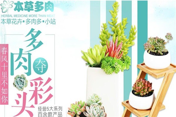 本草花卉多肉多小站加盟