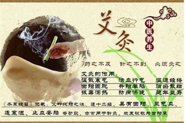 愛(ài)灸堂艾灸養(yǎng)生加盟