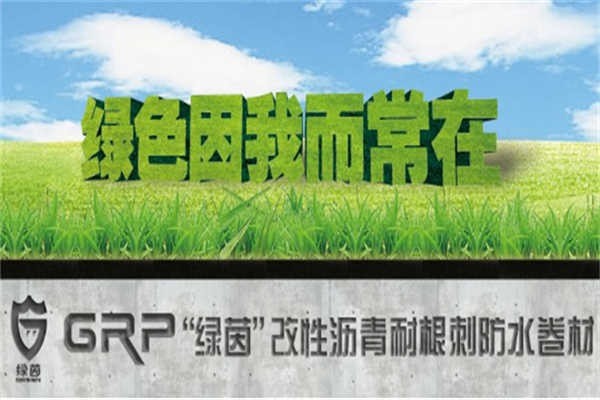 世紀(jì)洪雨加盟