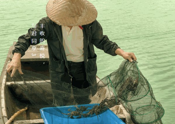 陽澄蟹府