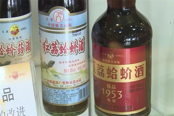 紅荔蛤蚧酒加盟