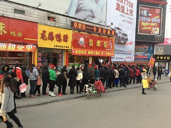 粒栗皇板栗