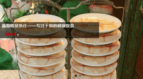 鑫御隆斑魚(yú)莊