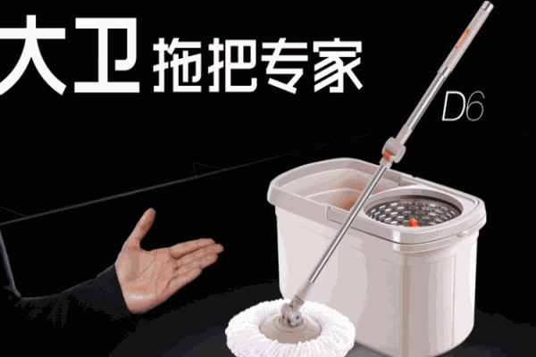 大衛(wèi)拖把