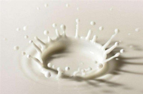 祥菊乳業(yè)