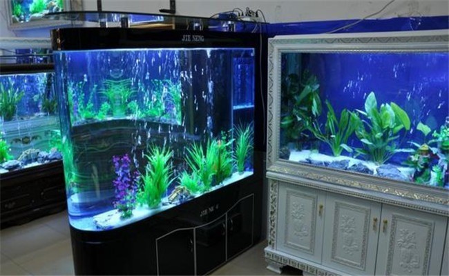 浮陽水族加盟