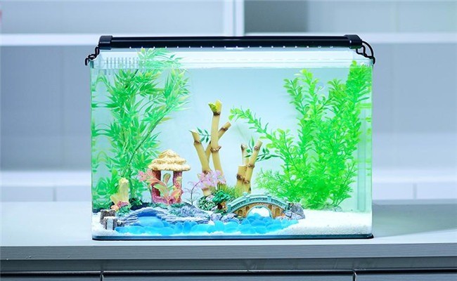 浮陽水族加盟
